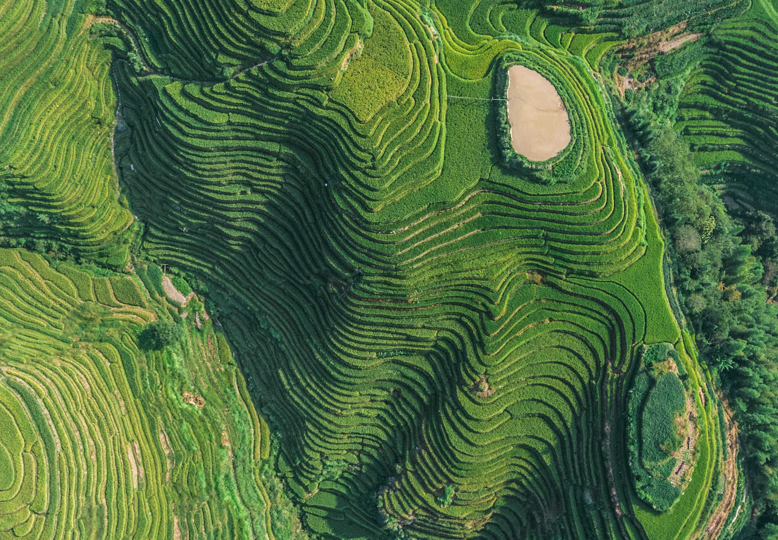  Earth day, how to celebrate earth day, sustainable t-shirt printing, cycling apparel, thread and spoke, thread and spoke discount code, biking trails near me, cycling t-shirts, cycling near me, bike wars, reduce reuse recycle,  