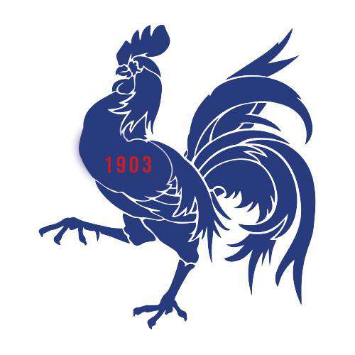 RoosterThread+Spoke - THREAD+SPOKE | MTB APPAREL | ROAD BIKING T-SHIRTS | BICYCLE T SHIRTS |